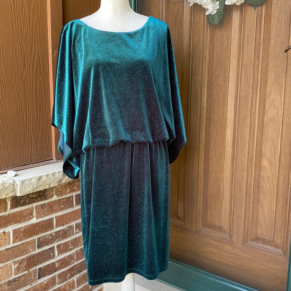 Jessica Howard velvet dress